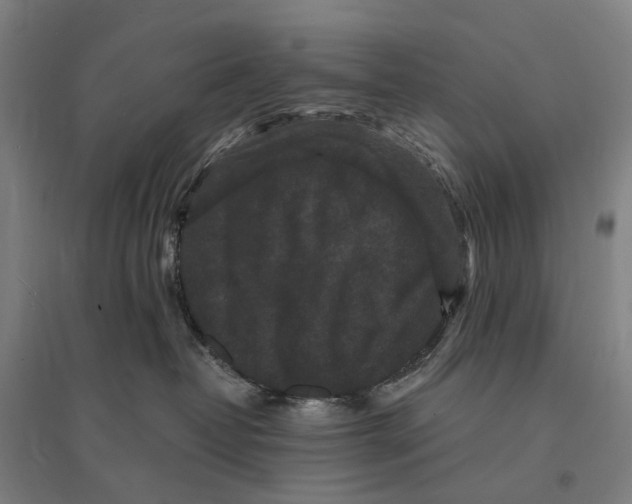 X0000095110382200712301742