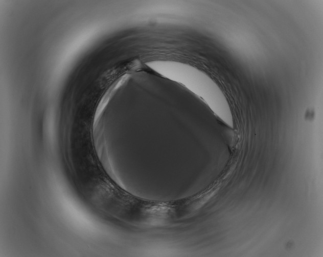 X0000095110383200712301742