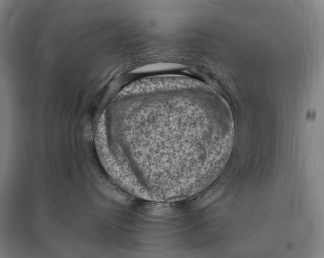 X0000095110384200712301742