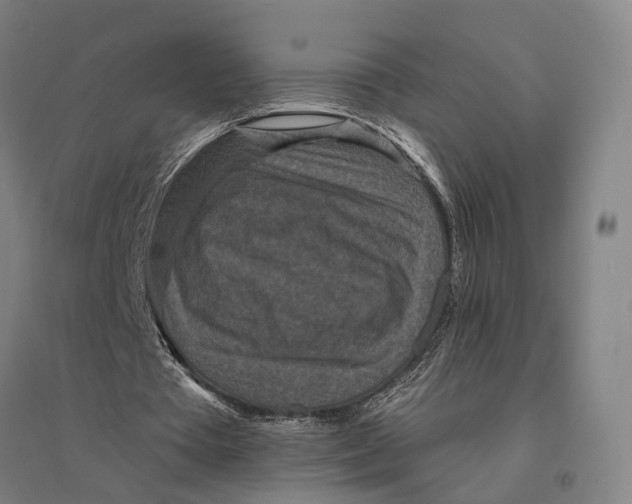 X0000095110385200712301742