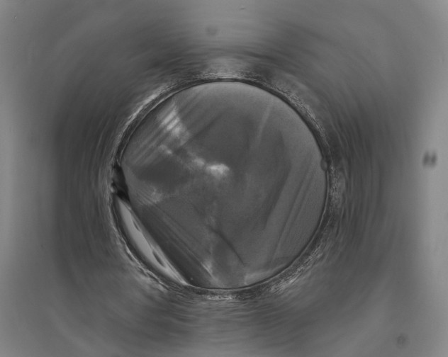 X0000095110386200712301742