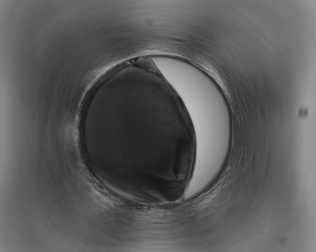 X0000095110387200712301742