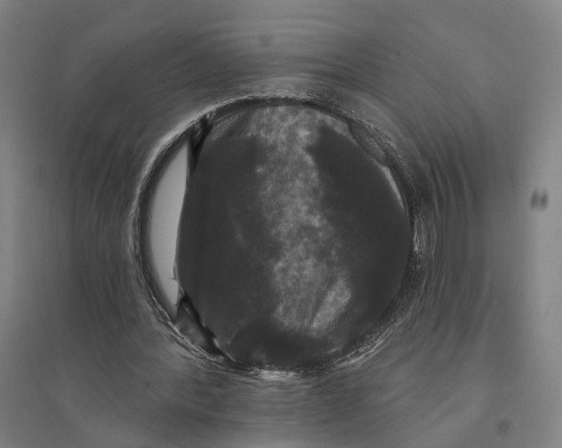 X0000095110388200712301742