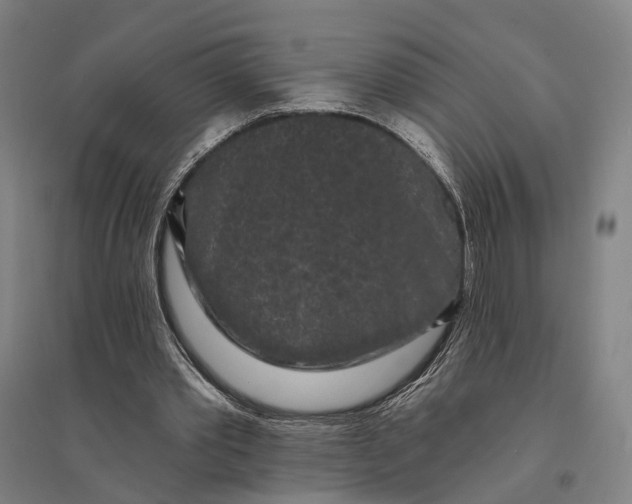 X0000095110389200712301742