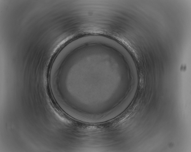 X0000095110390200712301741