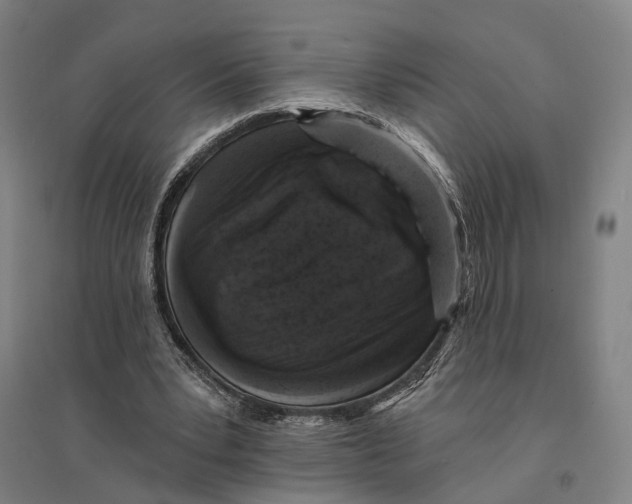 X0000095110391200712301741