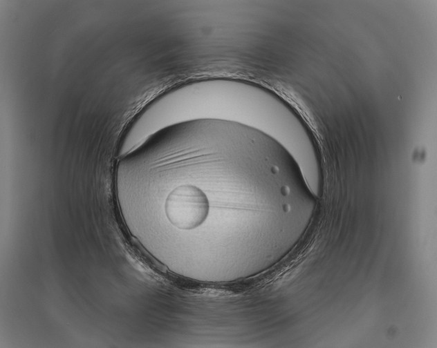 X0000095110393200712301741