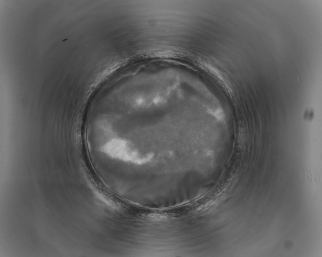 X0000095110394200712301741