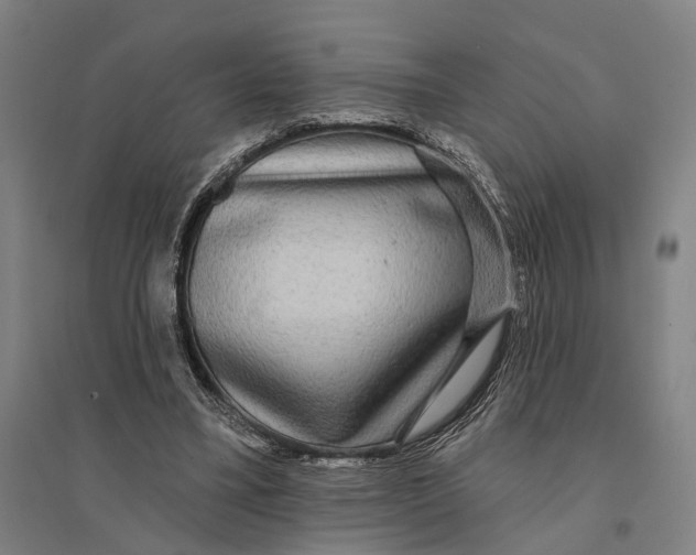 X0000095110395200712301741