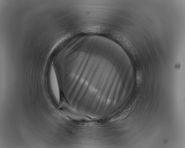 X0000095110396200712301741