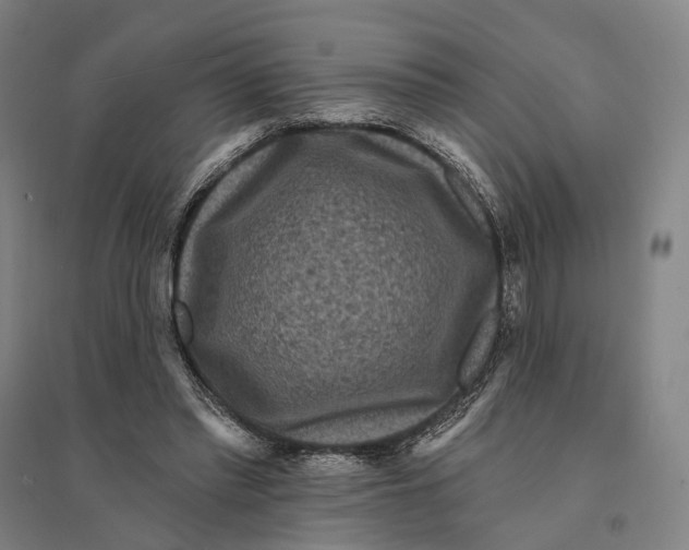 X0000095110397200712301741