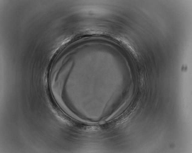 X0000095110398200712301741