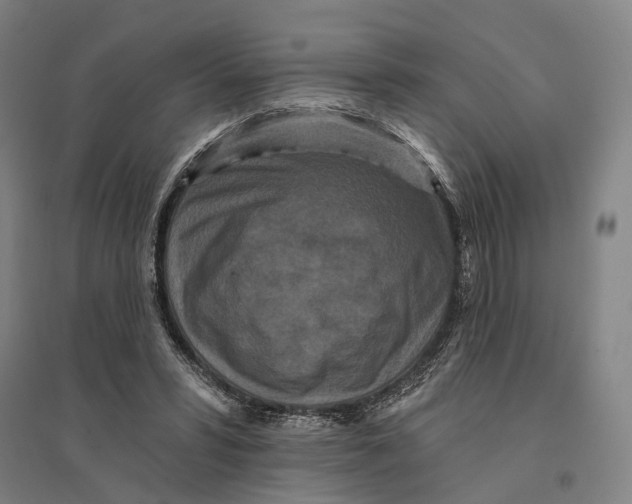 X0000095110399200712301741