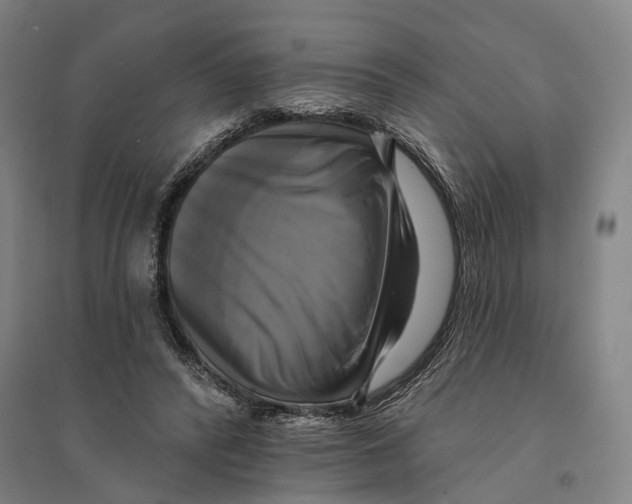 X0000095110400200712301741