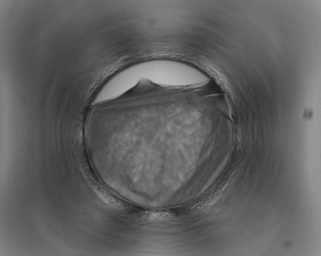 X0000095110401200712301741