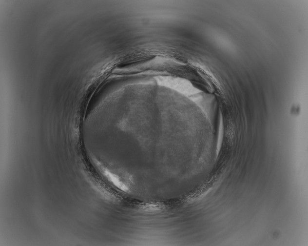 X0000095110402200712301741