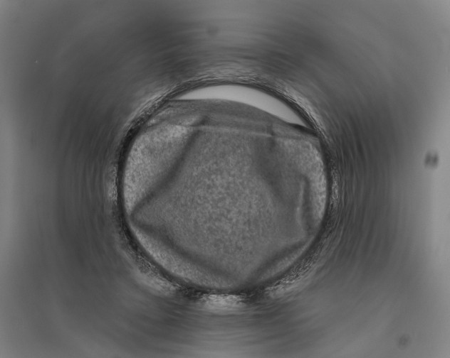 X0000095110403200712301741