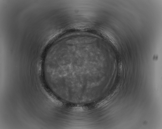 X0000095110404200712301741