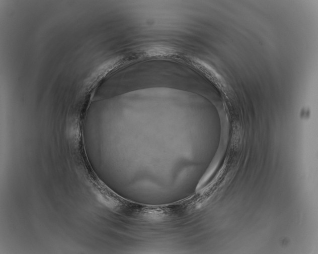 X0000095110405200712301741