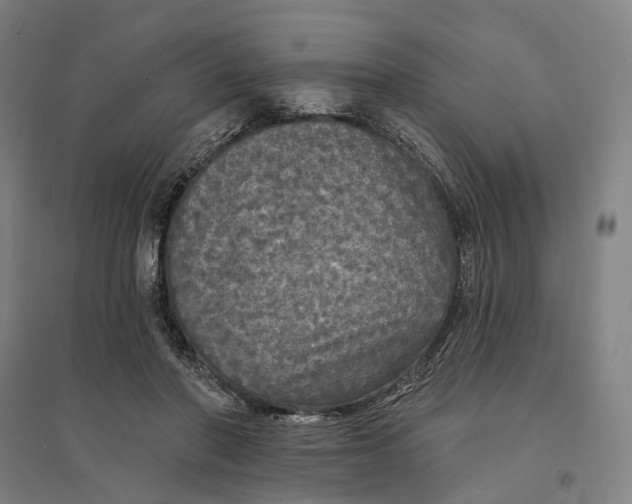 X0000095110406200712301741