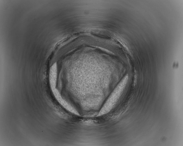 X0000095110407200712301741