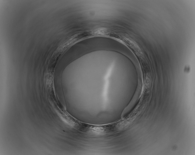 X0000095110409200712301741