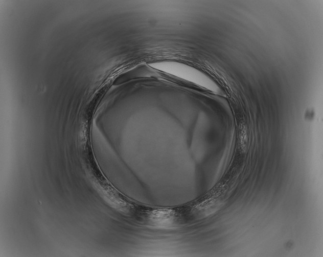 X0000095110410200712301741