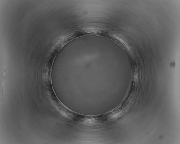 X0000095110411200712301741