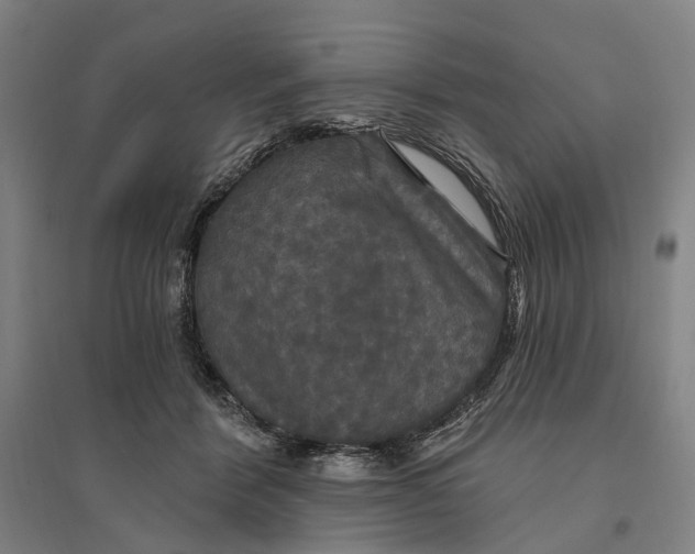 X0000095110412200712301741