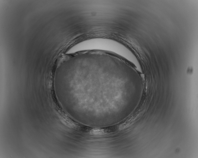 X0000095110413200712301741