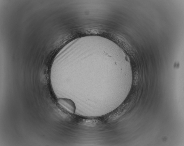 X0000095110414200712301741