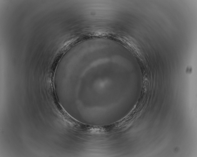 X0000095110415200712301741