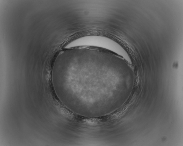 X0000095110417200712301741