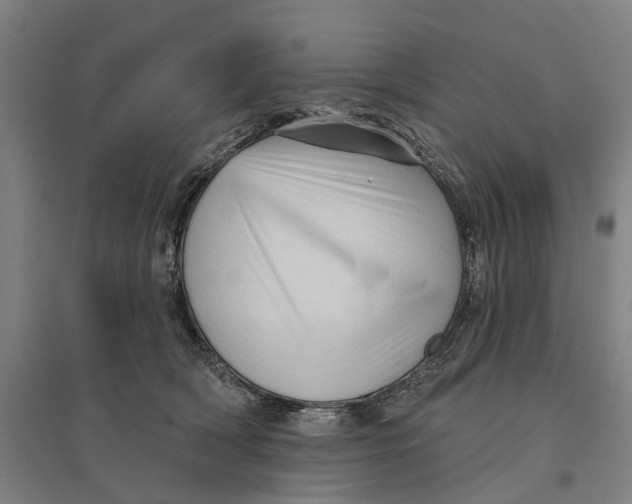 X0000095110418200712301741