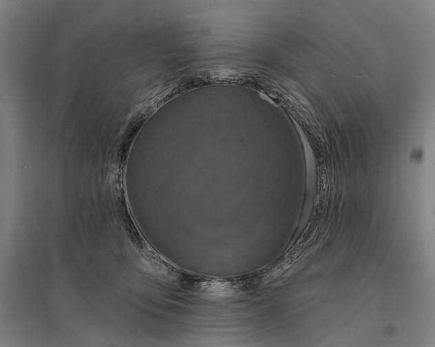 X0000095110419200712301741