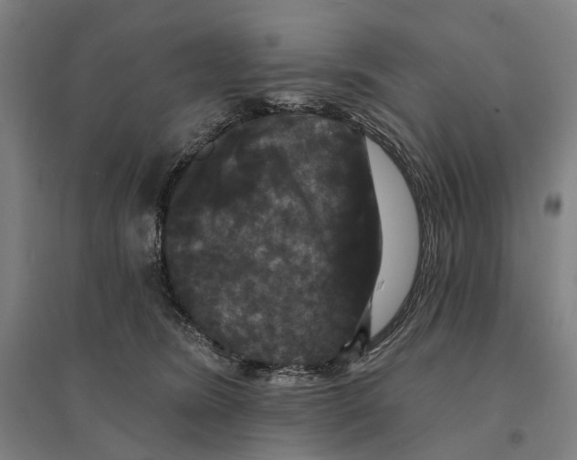 X0000095110420200712301741