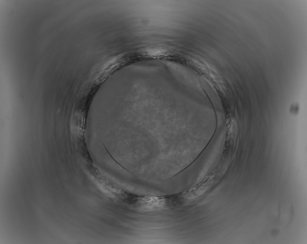 X0000095110421200712301741