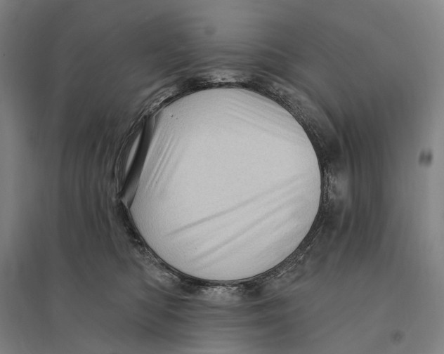 X0000095110422200712301741