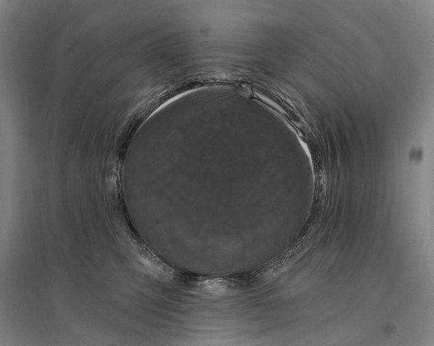 X0000095110423200712301741