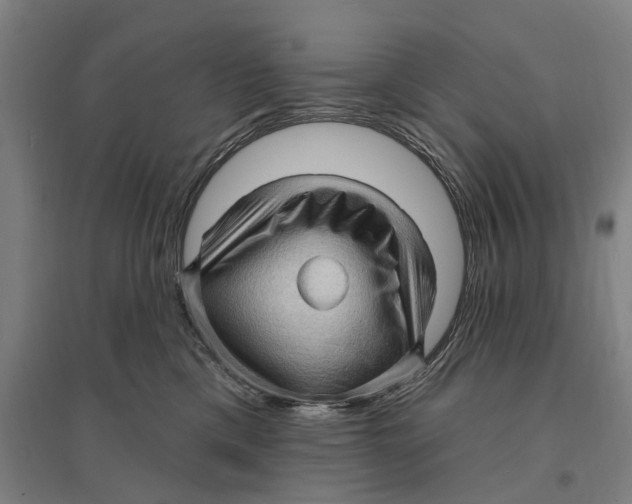 X0000095110425200712301741