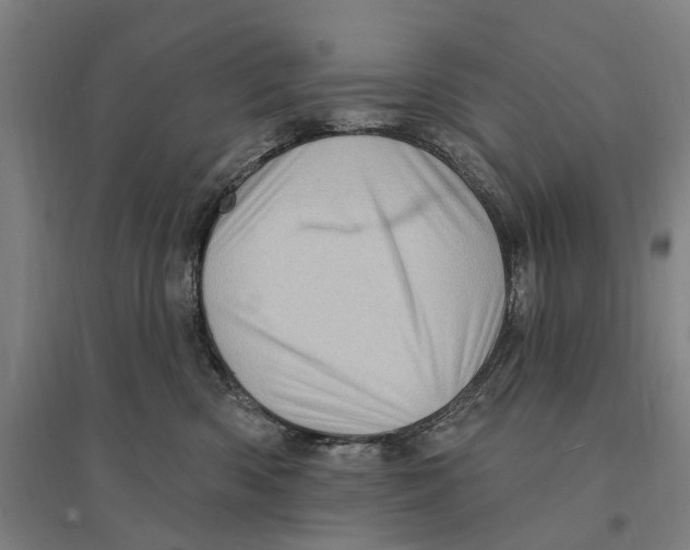 X0000095110426200712301741