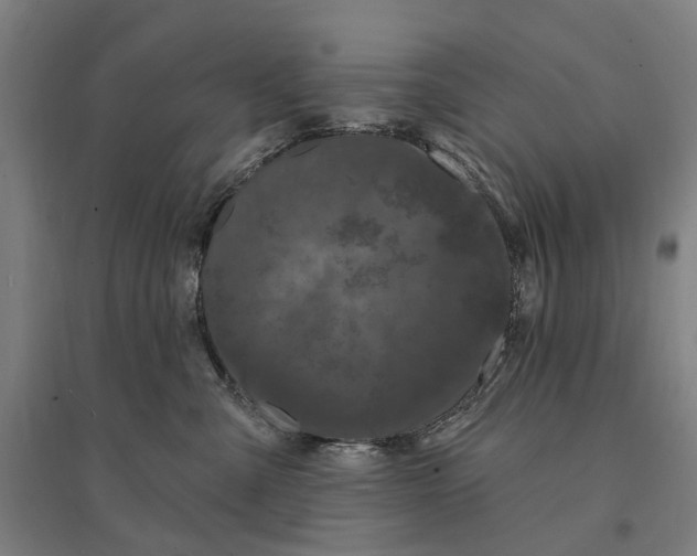 X0000095110427200712301741