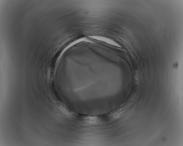 X0000095110428200712301741