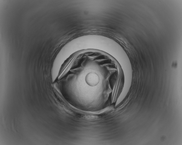 X0000095110429200712301741