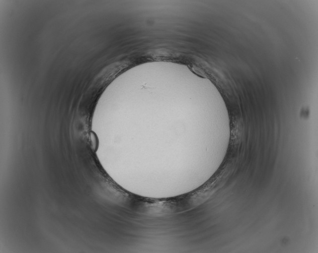 X0000095110430200712301741