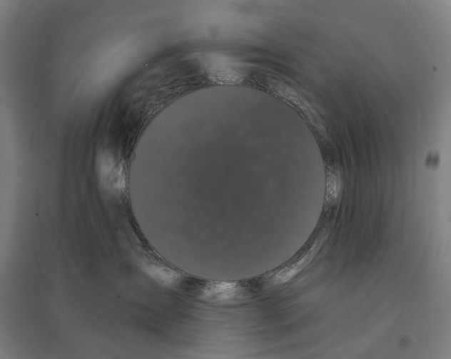 X0000095110431200712301741