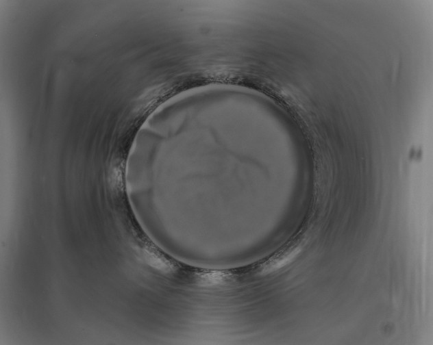 X0000095110432200712301741