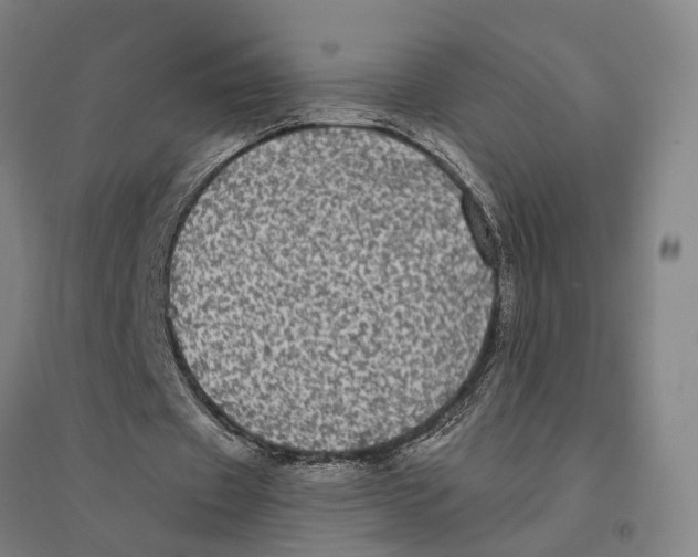 X0000095110433200712301740