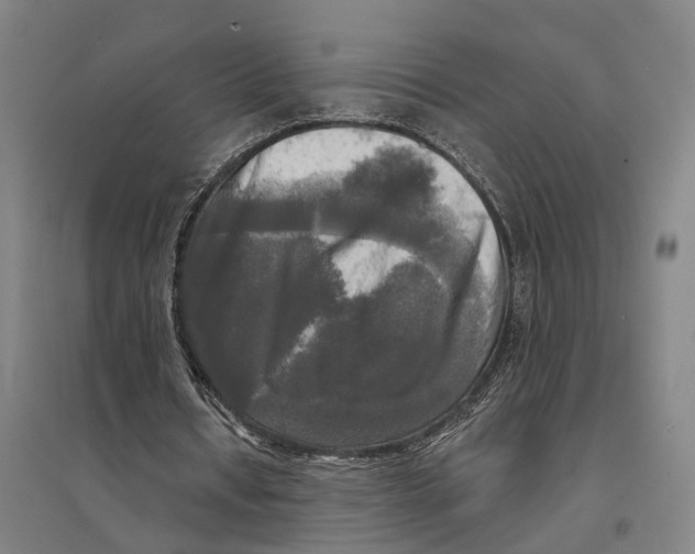 X0000095110434200712301740