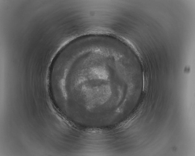 X0000095110435200712301740